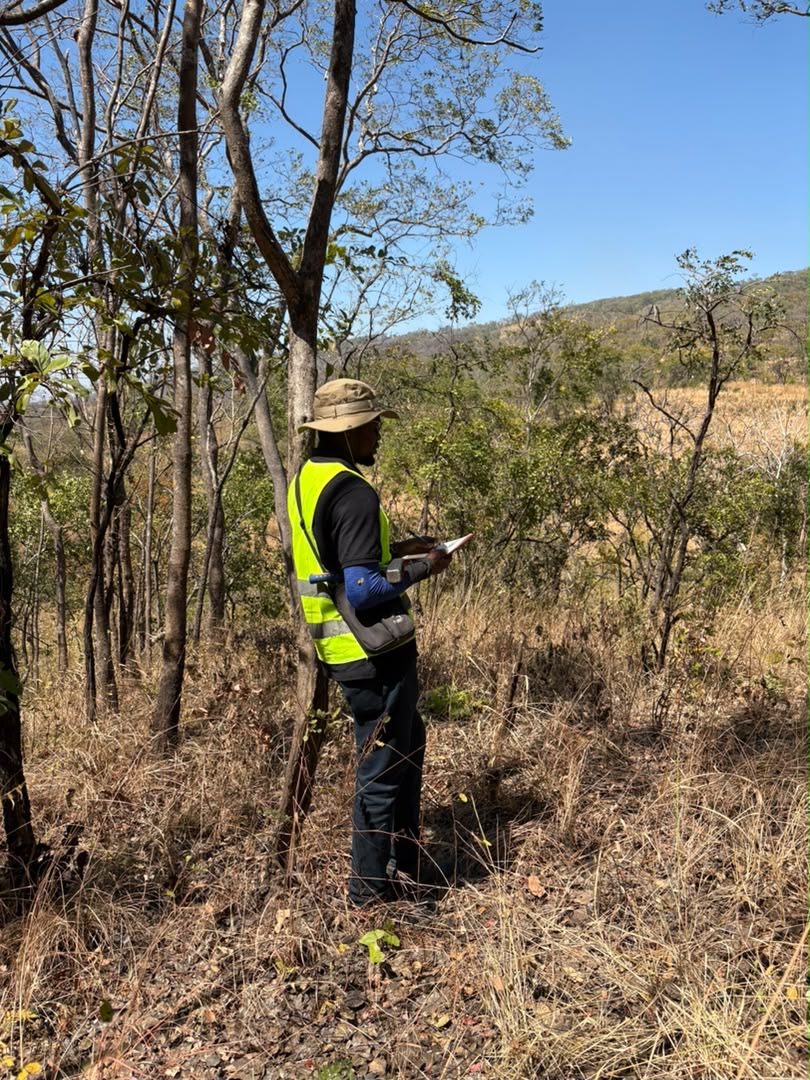 Relevé environnemental effectué en zone de savane